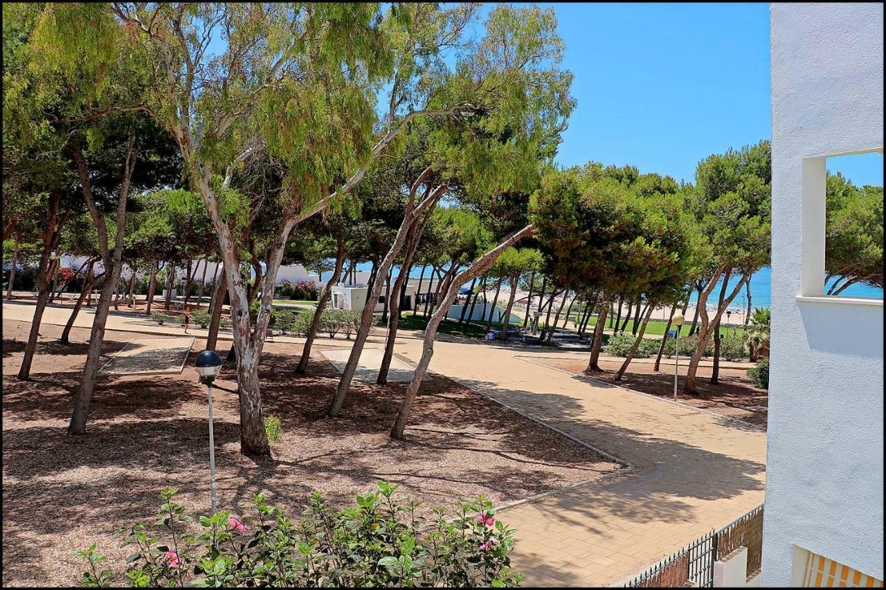 Apartamento Parque La Atalaya Conil De La Frontera Exteriör bild